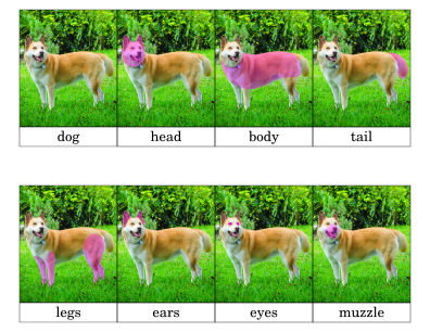 Dog Nomenclature Printout