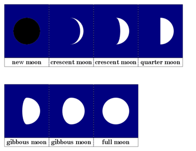 Phases of the Moon Cards